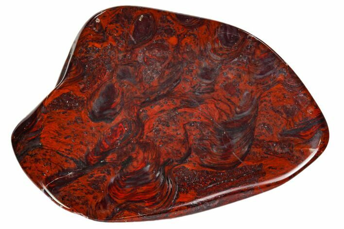 Polished Stromatolite (Collenia) - Minnesota #104433
